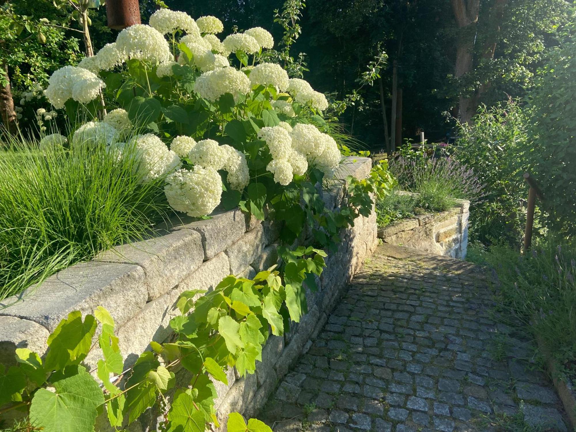 Romantik Idyll Am Tiefental Konigsbruck Exterior foto
