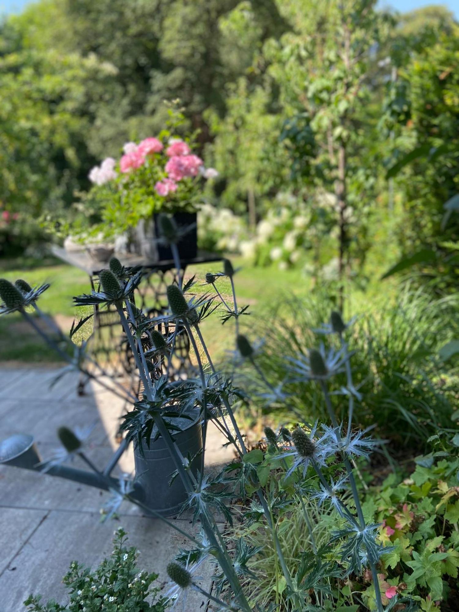 Romantik Idyll Am Tiefental Konigsbruck Exterior foto